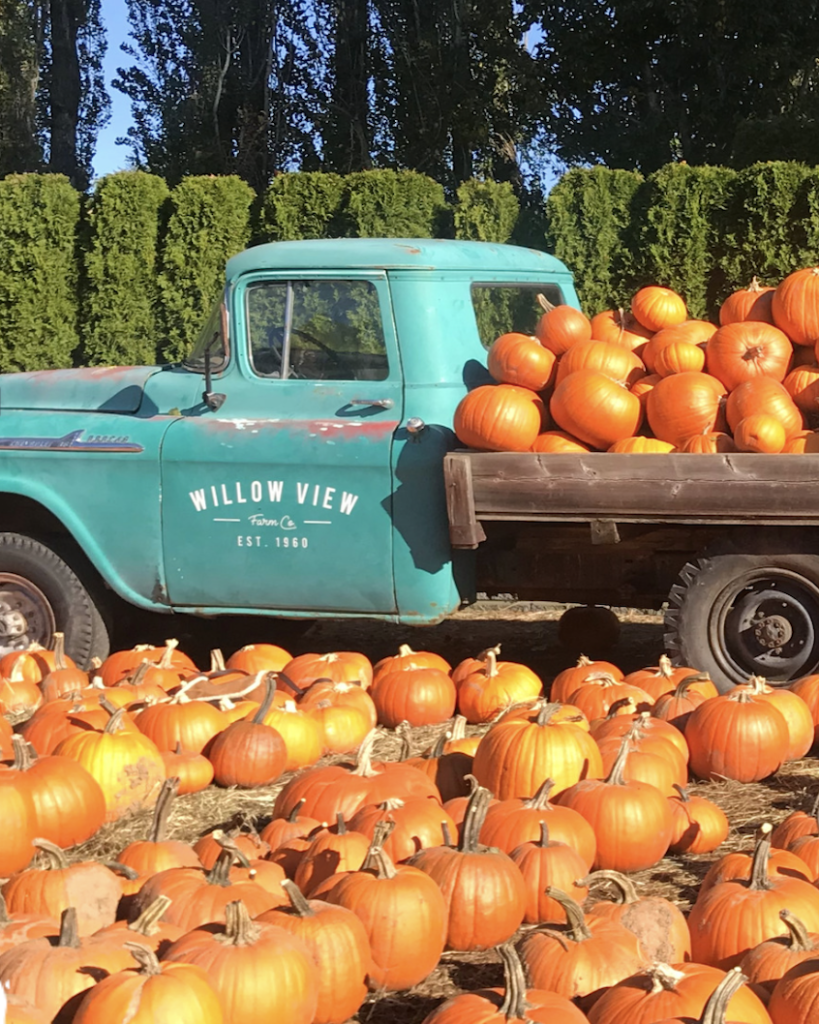 alt="Simple Joys of Fall: A Pumpkin Path."